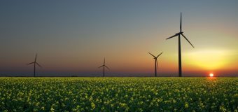 Kanada postawi na zieloną energię?