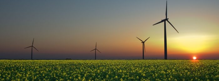 Kanada postawi na „zieloną” gospodarkę? Kanada postawi na zieloną energię?